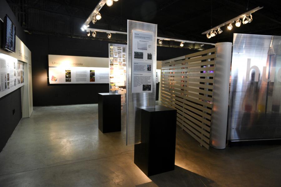 Lanzamiento MOST - Vino al Sur Festival Internacional de Cine del Vino