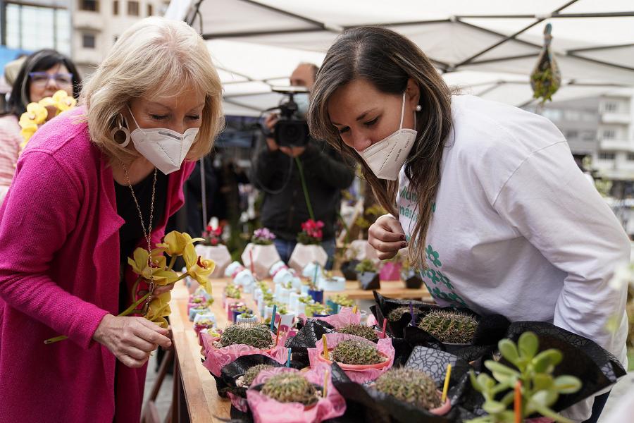 Feria de la primavera