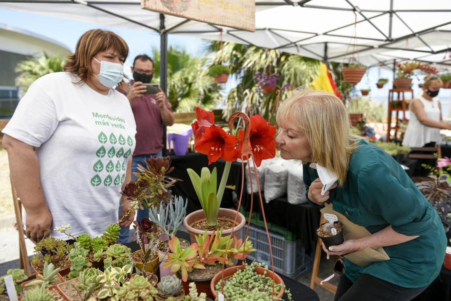Montevideo más Verde: Feria Sustentable