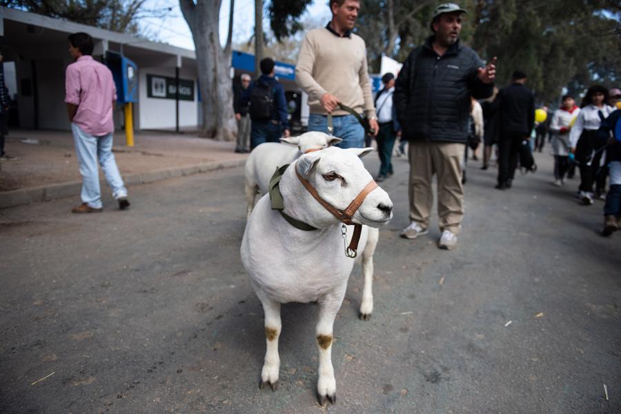 Expo Prado 2022