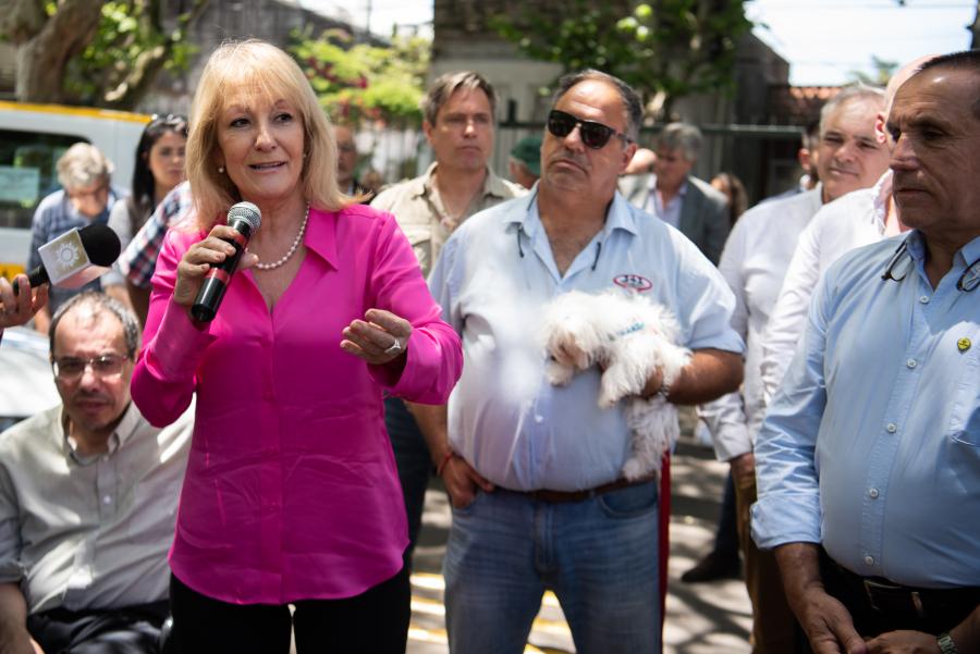 Presentación de sticker para identificación de taxis pet friendly