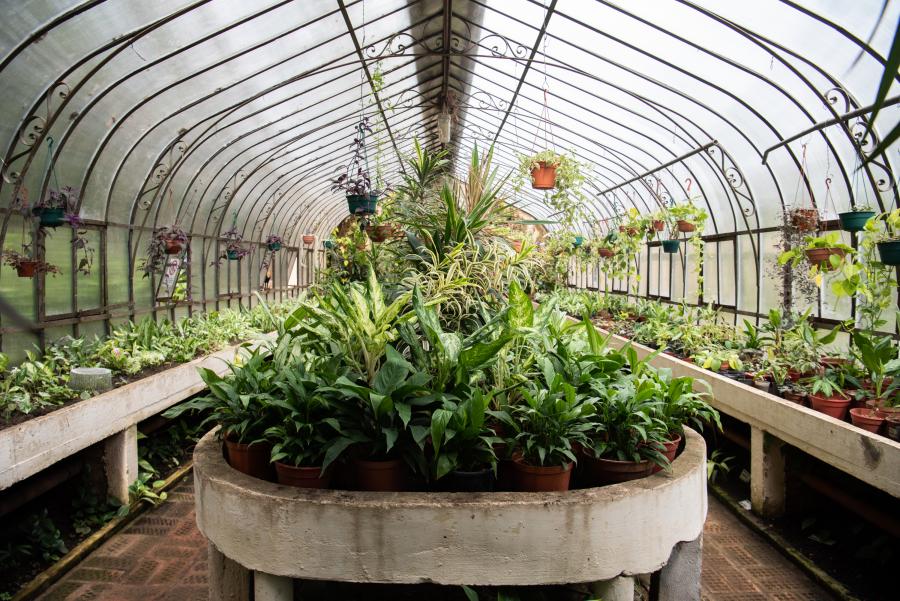  Inauguración del Invernáculo del Jardín Botánico