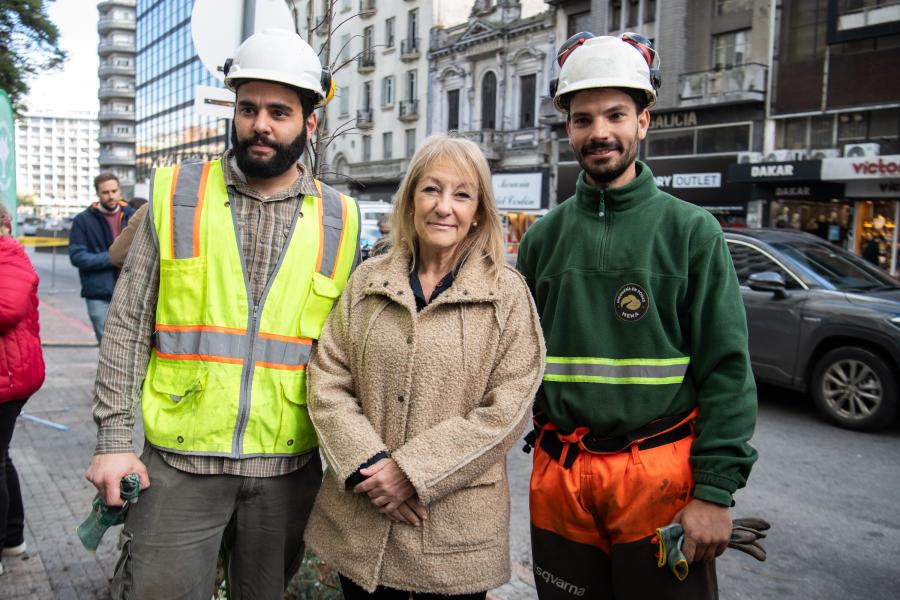  Plantación de árboles en Av.18 de Julio en el marco del proyecto de arbolado en Montevideo