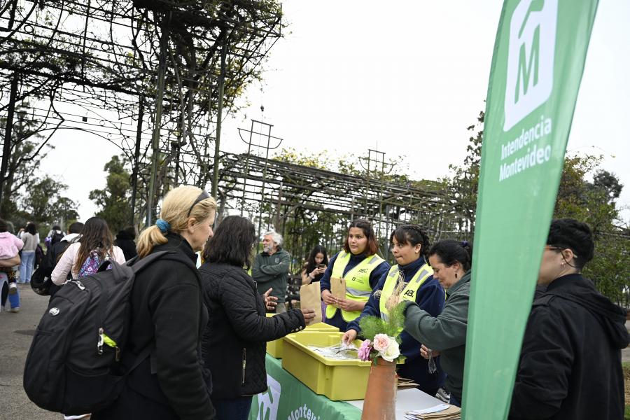 Entrega de esquejes de rosales en el Rosedal del Prado