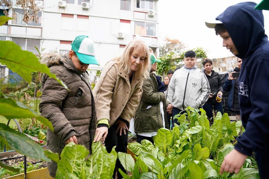 Huerta comunitaria de la Escuela Nº  249