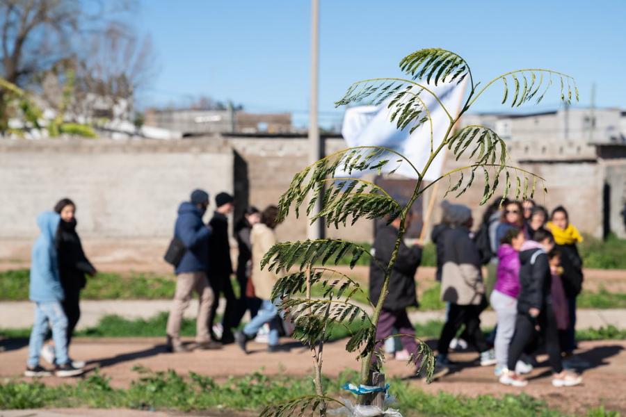 Cierre de la plantación de árboles en el barrio Bajo Valencia