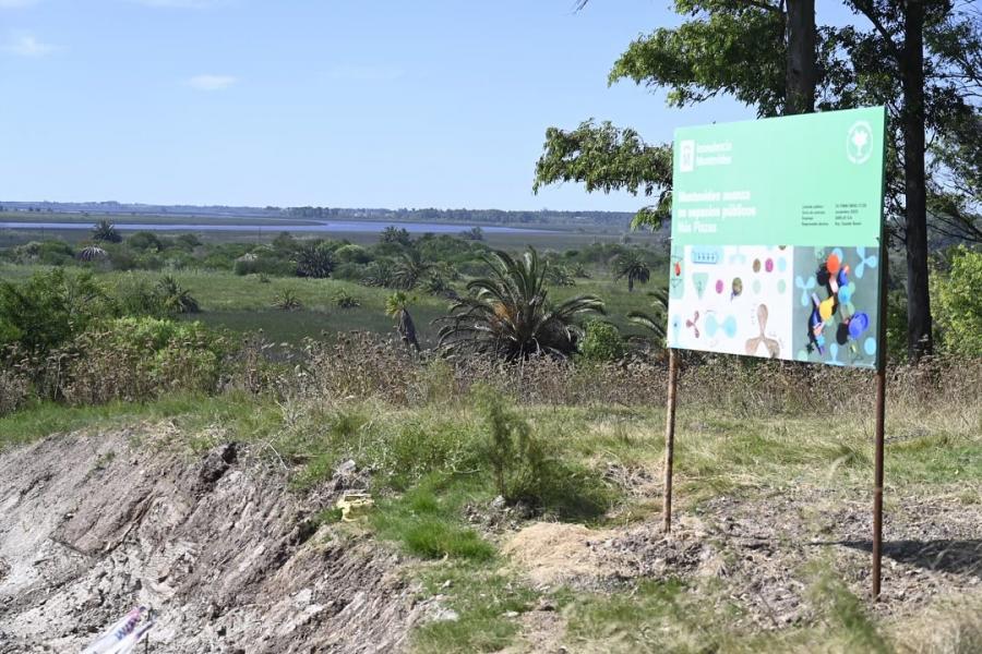 Día Mundial de los Humedales