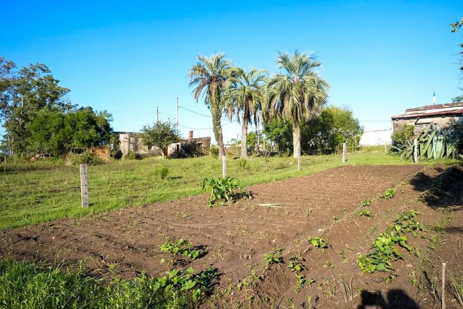 Isla Patrulla en Treinta y Tres