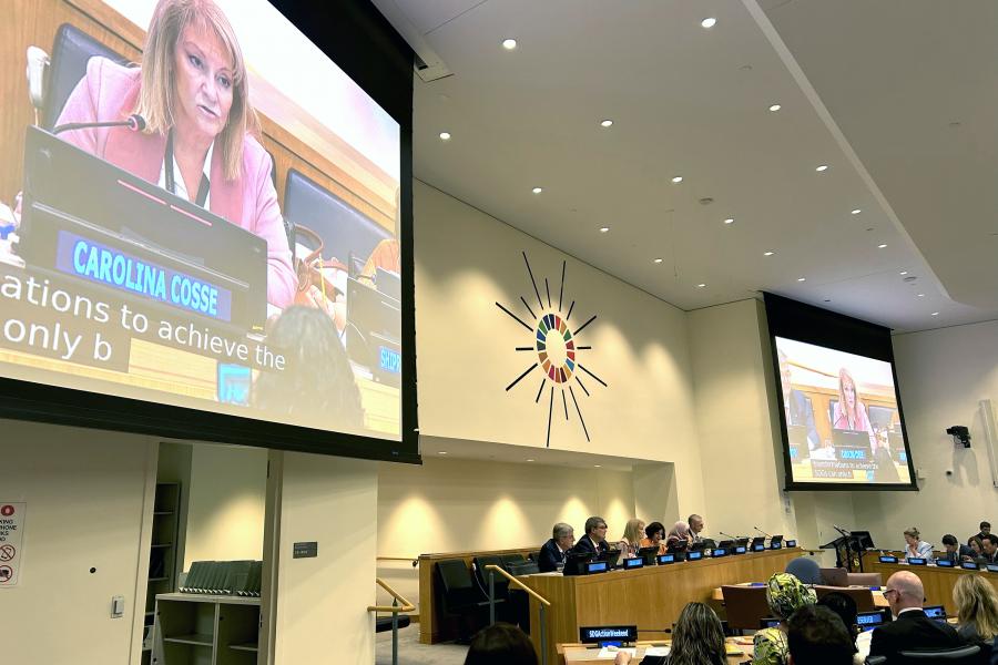 Cumbre de los ODS de Naciones Unidas