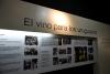 Lanzamiento MOST - Vino al Sur Festival Internacional de Cine del Vino