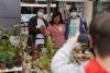 Feria de la primavera