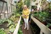  Inauguración del Invernáculo del Jardín Botánico